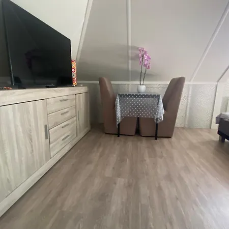 B&B nancy in holland met eigen badkamer , independent bathroom-2